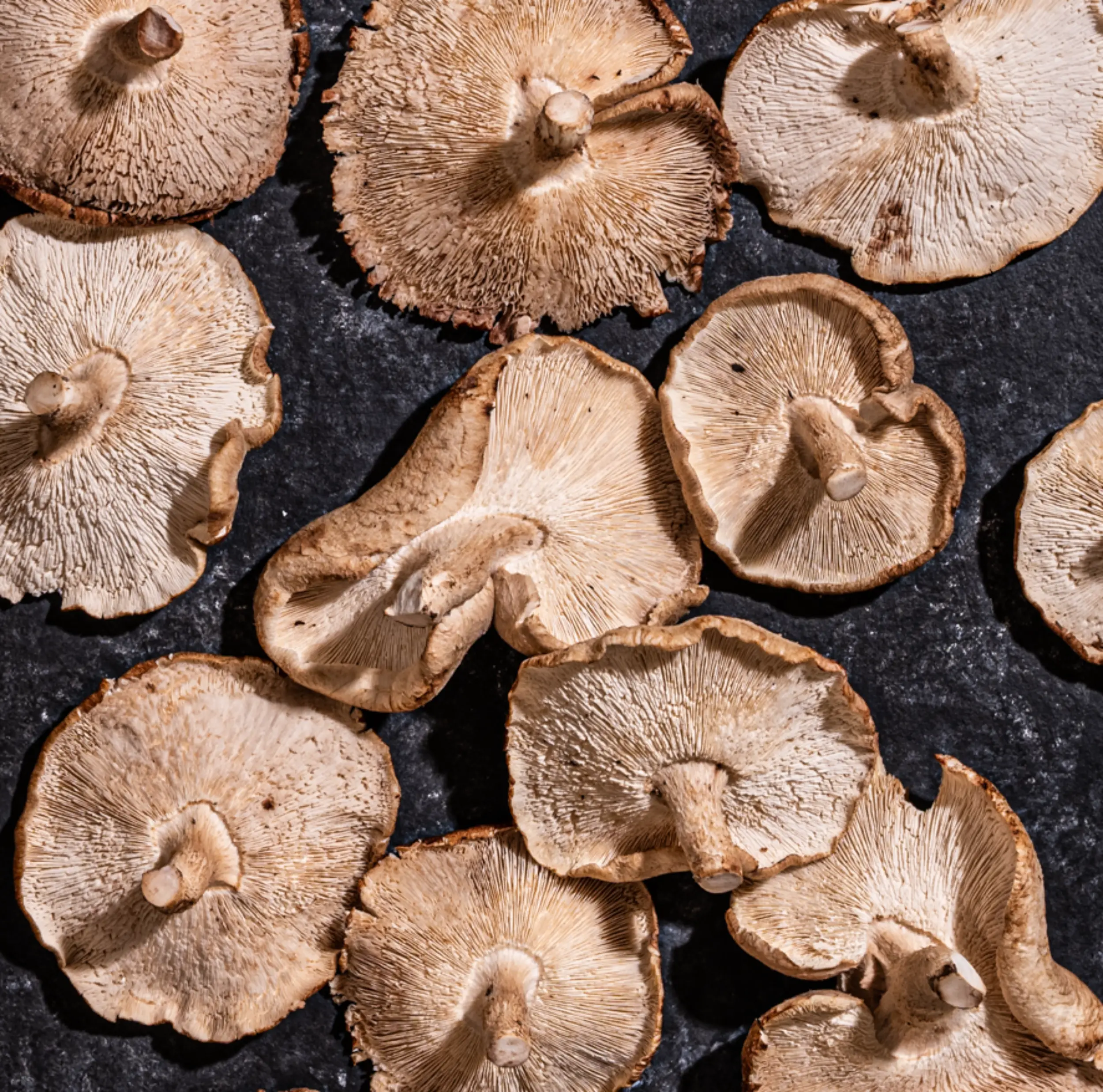 הצילום שעושה תיאבון - סדנת צילום אוכל וסטיילינג – תמונה 7