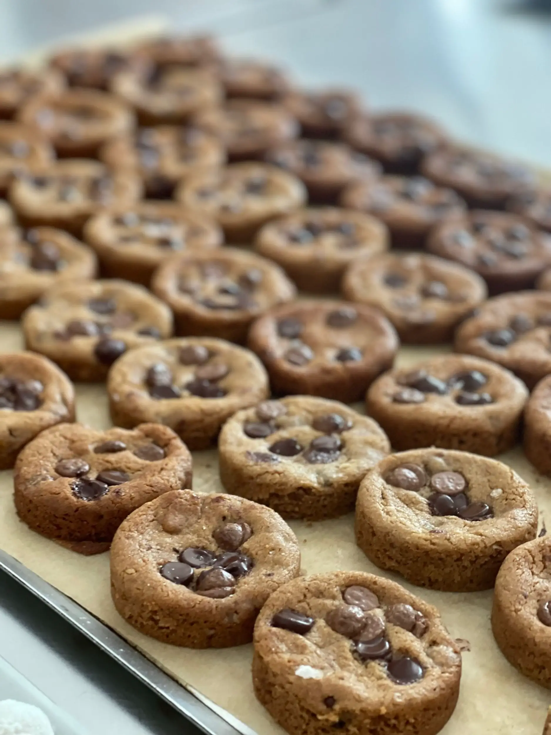 ביס קטן של אושר - מסע אל עולם העוגיות – תמונה 4