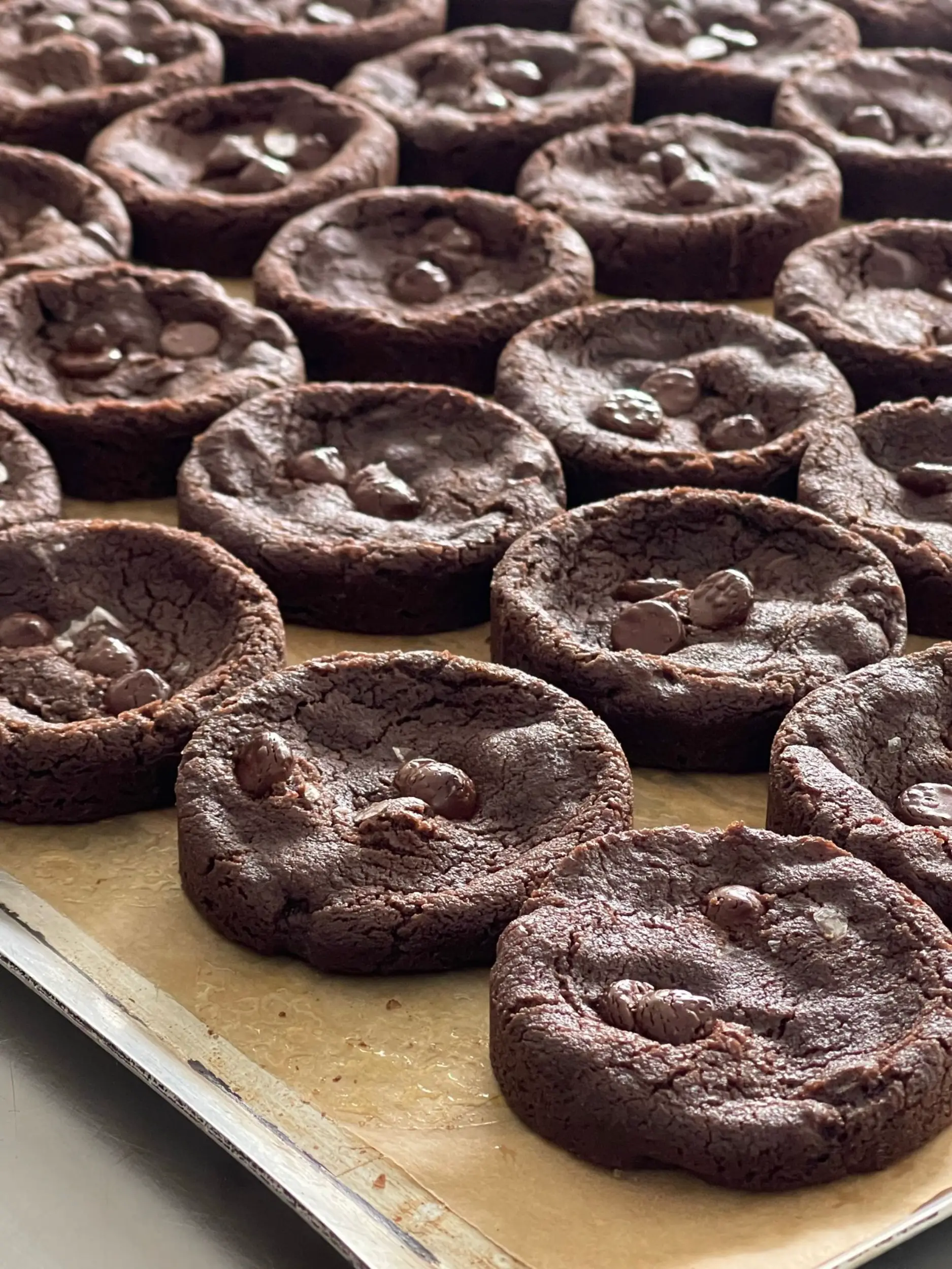 סדנת שוקולד